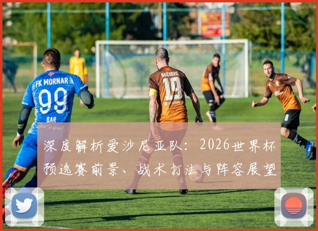 深度解析爱沙尼亚队:2026世界杯预选赛前景、战术打法与阵容展望