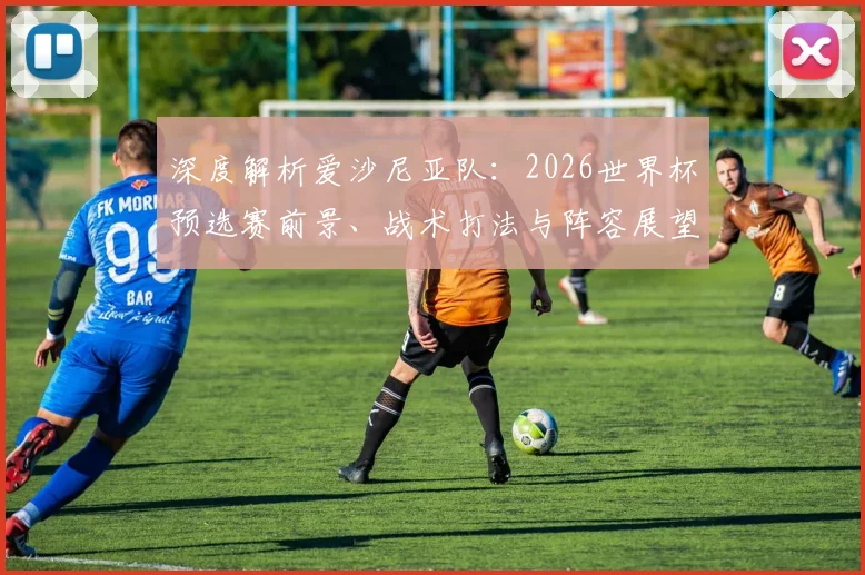深度解析爱沙尼亚队：2026世界杯预选赛前景、战术打法与阵容展望